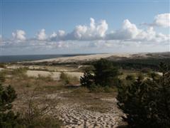 Die Kurische Nhrung in Littauen